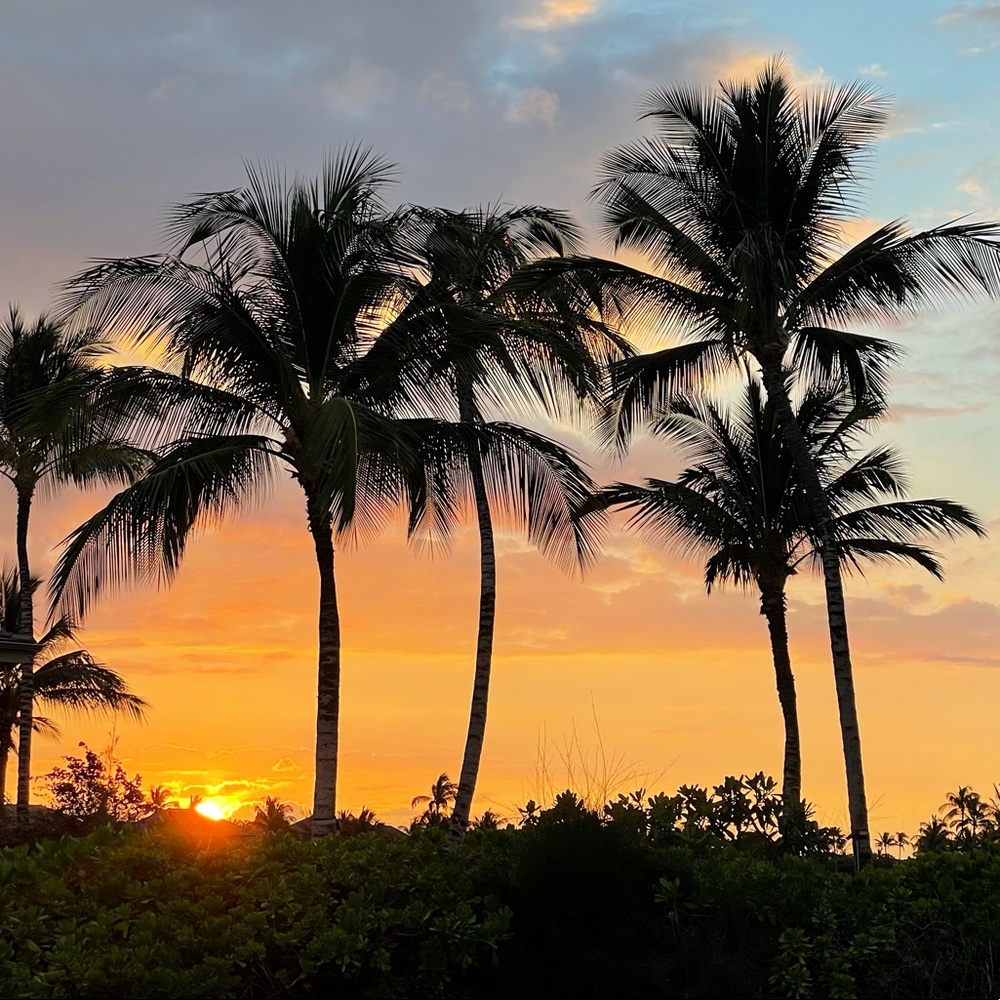 Meet your Posher, Dilli